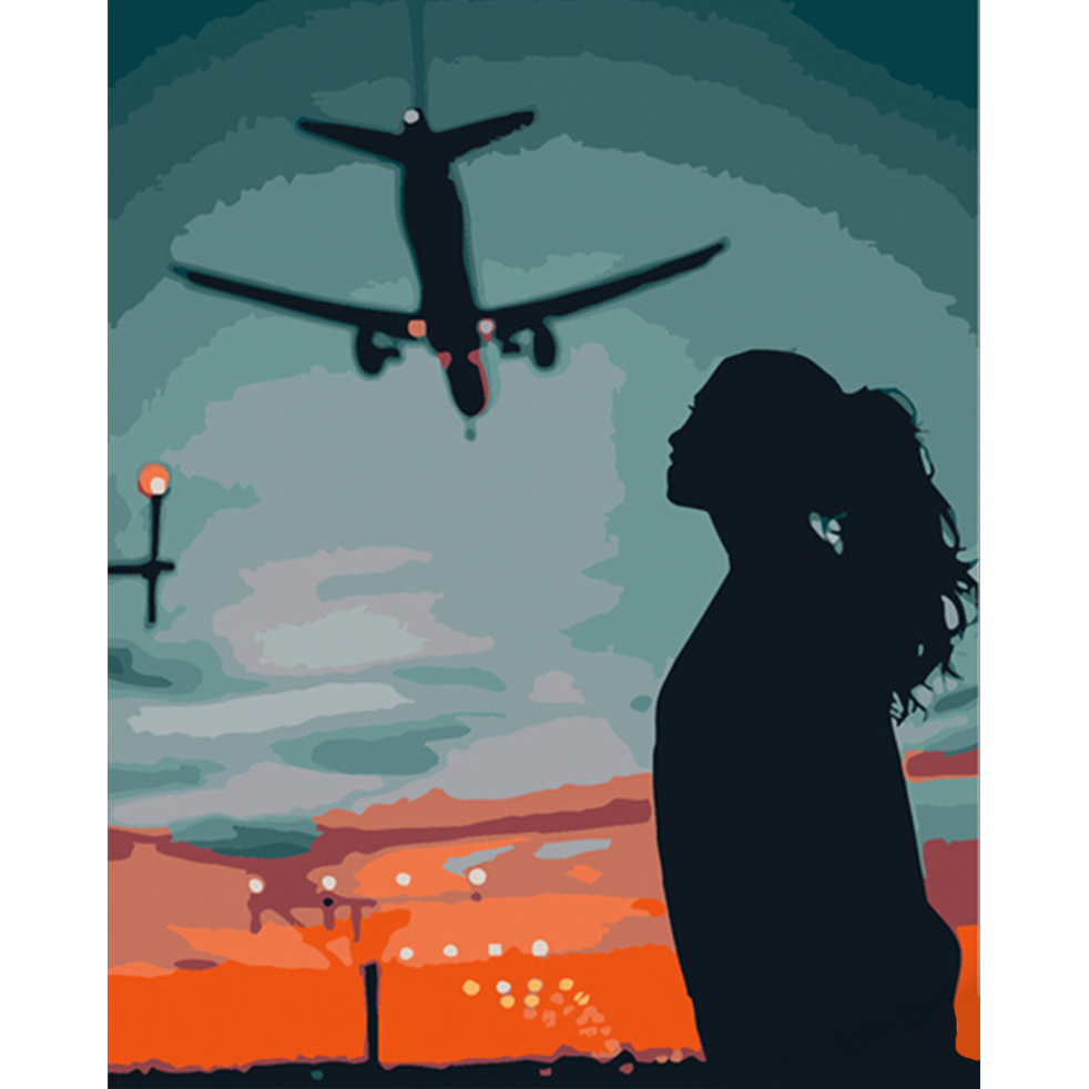 Картина по номерам Strateg Премиум Взгляд за самолетом 40х50 см (DY289)