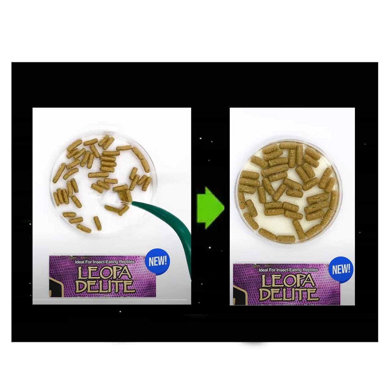 Корм сухой Hikari Leopa Delite для гекконов и насекомоядных ящериц 65 г палочки (20656) - фото 4 Корм сухой Hikari Leopa Delite для гекконов и насекомоядных ящериц 65 г палочки (20656) - фото 4