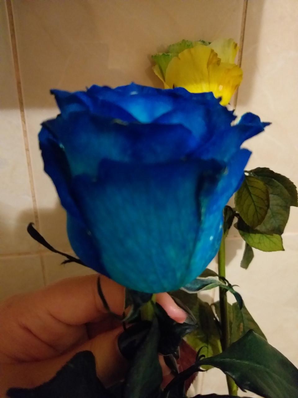 Краска для срезанных цветов PreFlower Color 2 мл Синий (224041) - фото 2