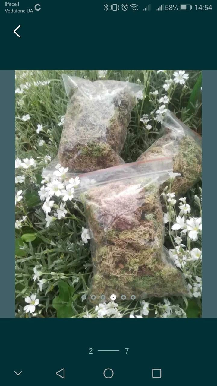 Добавка для грунта Мох сухой сфагнум 1 л (2362775396) - фото 2