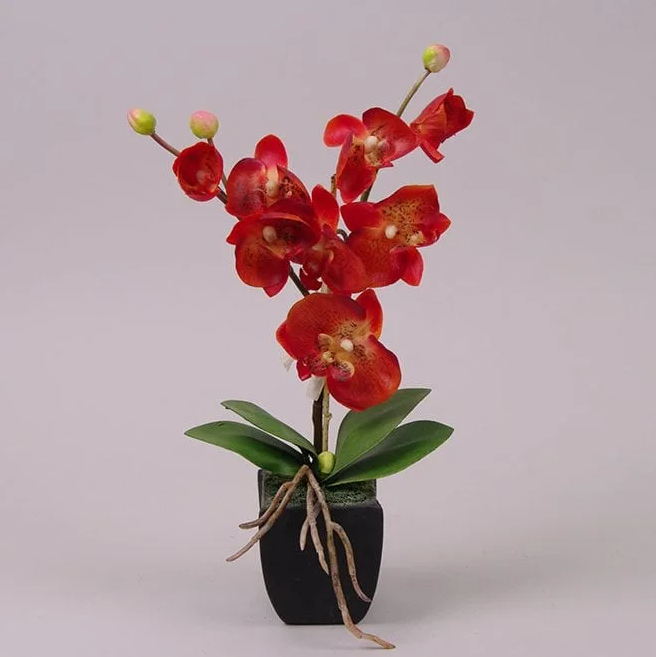 Декорация фаленопсис Flora Красный (7451) Декорация фаленопсис Flora Красный (7451)