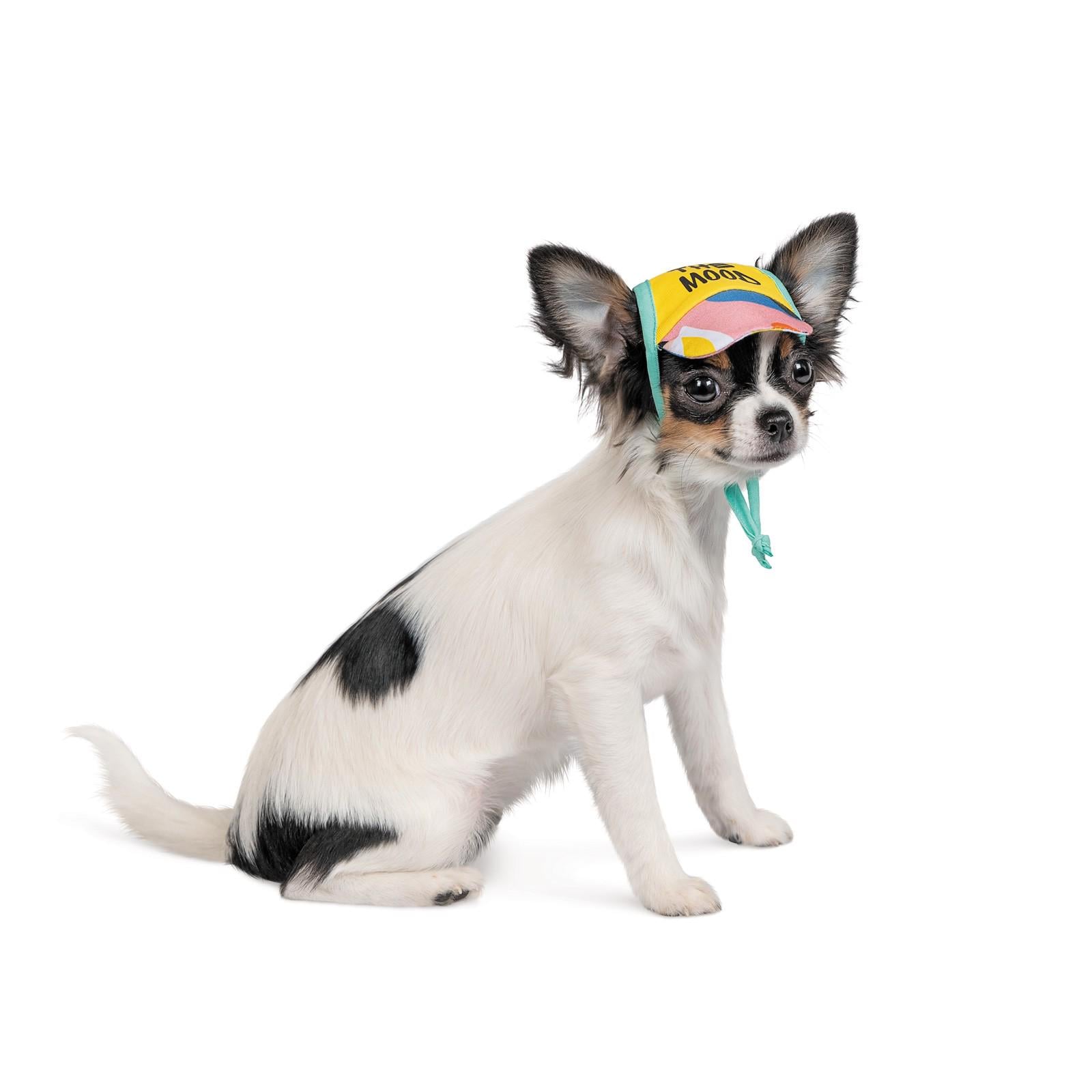 Кепка Pet Fashion Summer S Жовтий (PR242127)