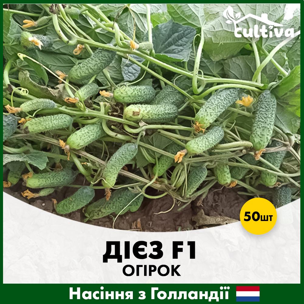 Насіння огірка Rijk Zwaan Дієз F1 50 шт. (R51029_50)