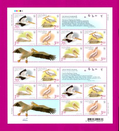 Почтовые марки Украины 2007 лист Пеликан розовый WWF с купонами (200740015)