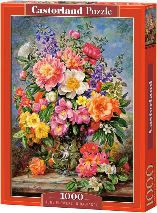 Пазл Castorland Червневі квіти в сяйві 1000 дет. Пазл Castorland Червневі квіти в сяйві 1000 дет.