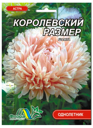 Семена Астра Королевский размер пионообразная шамуа кремовый 0,3 г (27330)