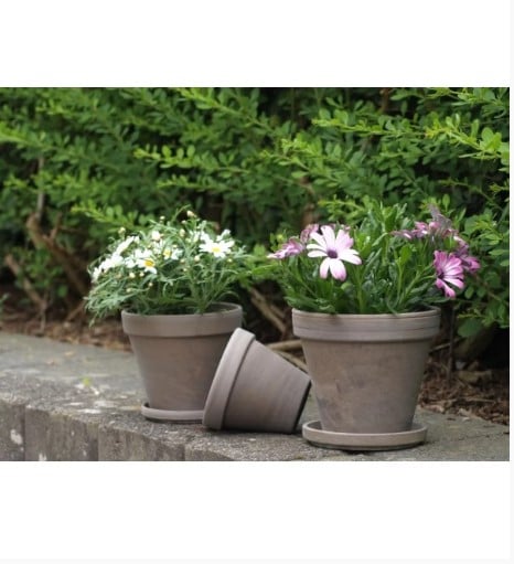 Горщики керамічні Spang гладкий 14х16 см 1,4 л 3 шт. Базальтовий (000006491) - фото 2 Горщики керамічні Spang гладкий 14х16 см 1,4 л 3 шт. Базальтовий (000006491) - фото 2