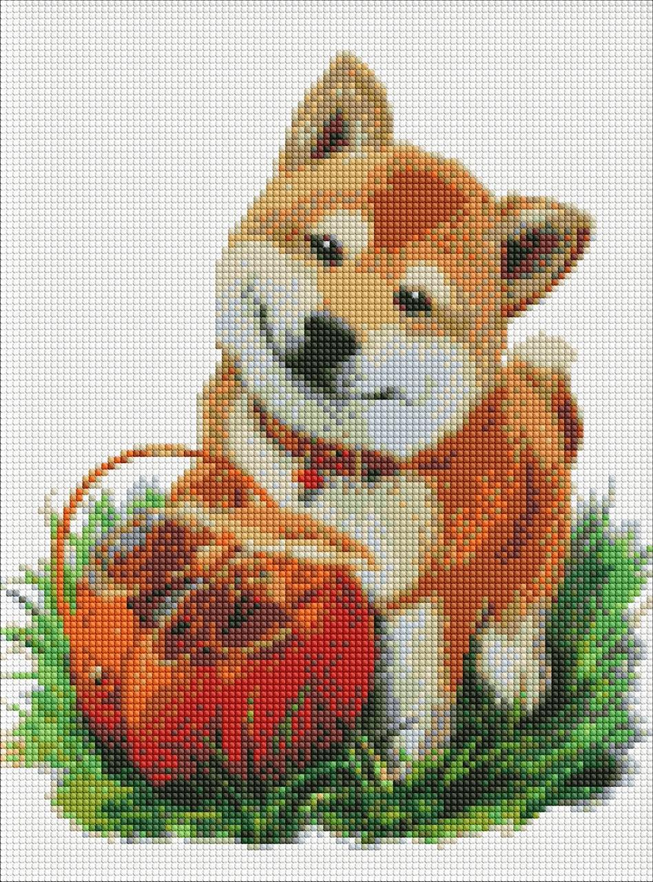 Алмазная мозаика Идейка Лесные приключения AMO7183 30x40 см (1807386923)