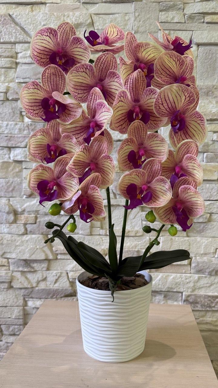 Вазон орхідея ПЛАСТМАКС латексна на дві гілки Тигровий (O27) - фото 2