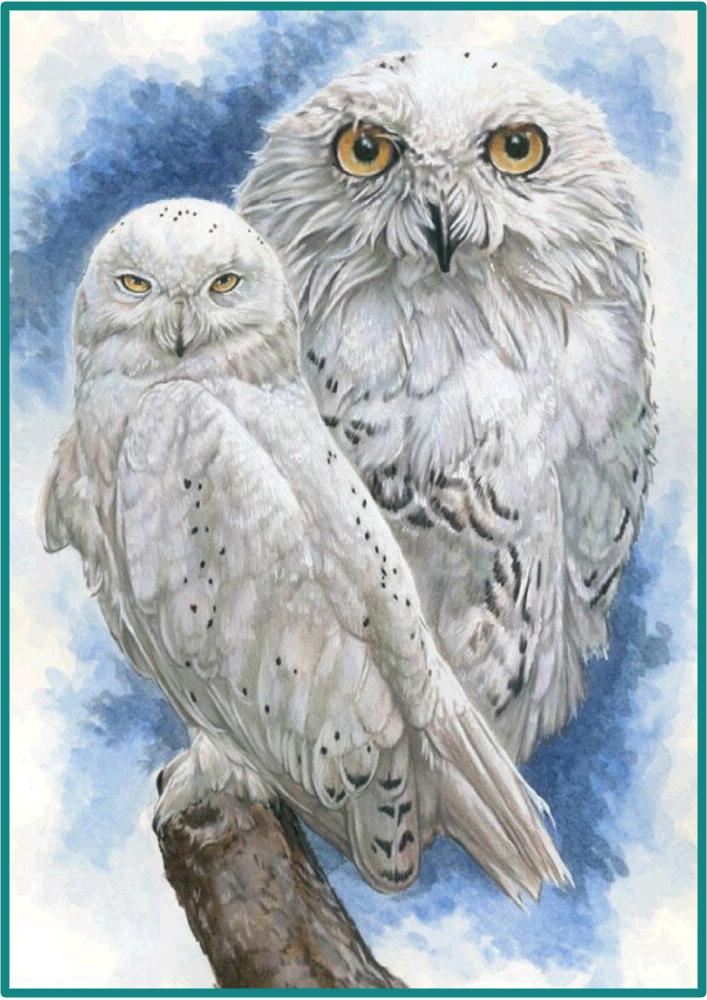 Алмазна мозаїка Emerald Craft Полярна сова 30x40 см (22715)
