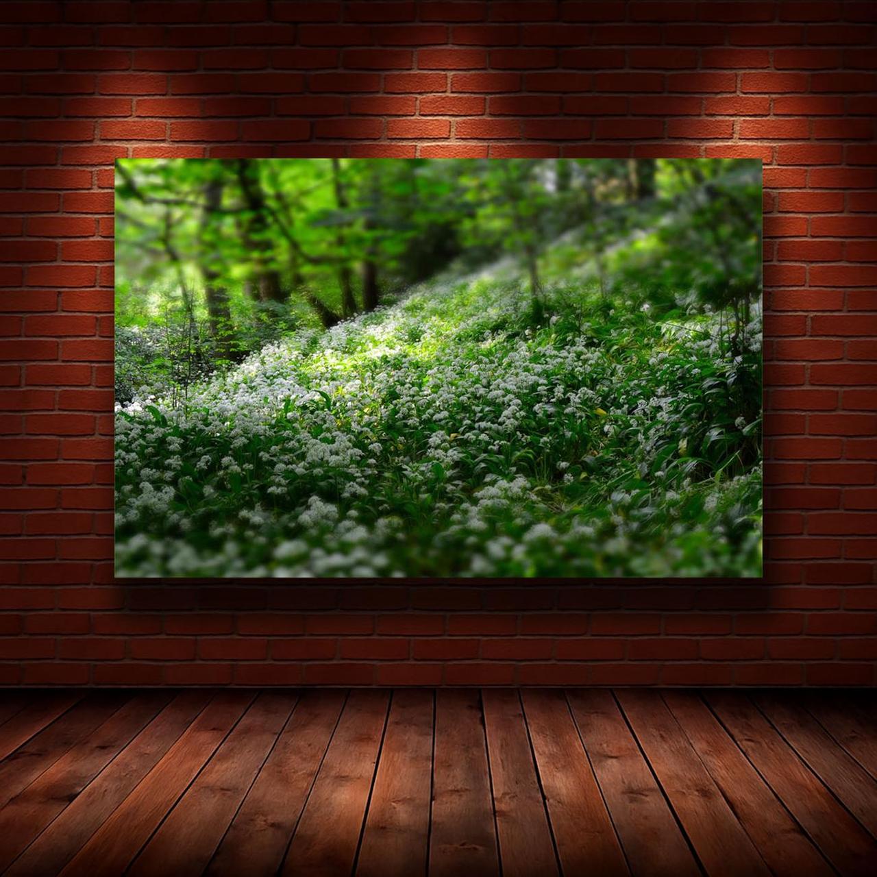 Картина на холсте Природа 50х70 см (N940)