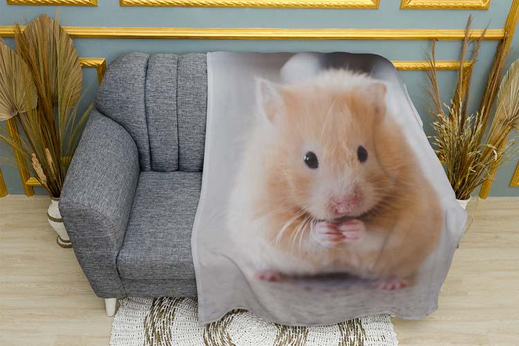 Плед Cute red hamster плюш однослойный 135х150 см (114005)