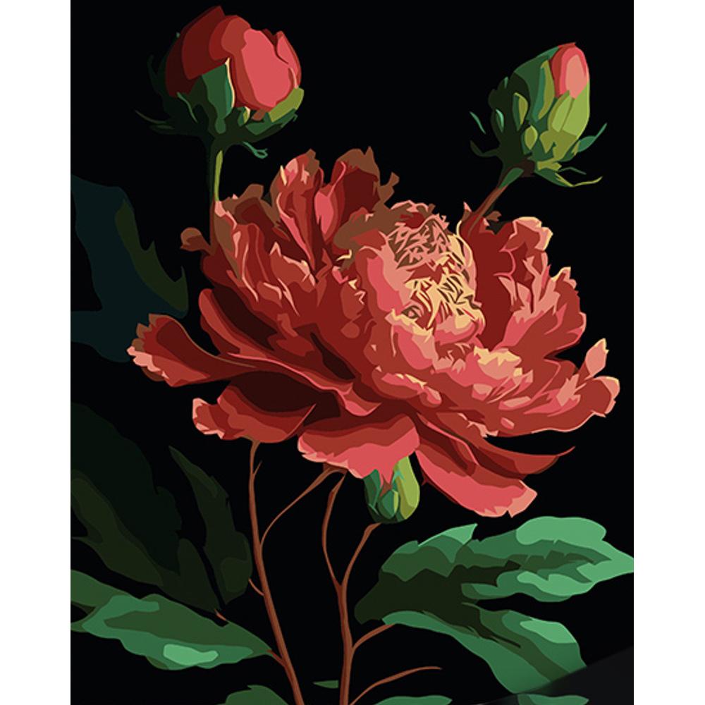 Картина по номерам Strateg Пионы на черном фоне 40x50 см (Str-AH1048)
