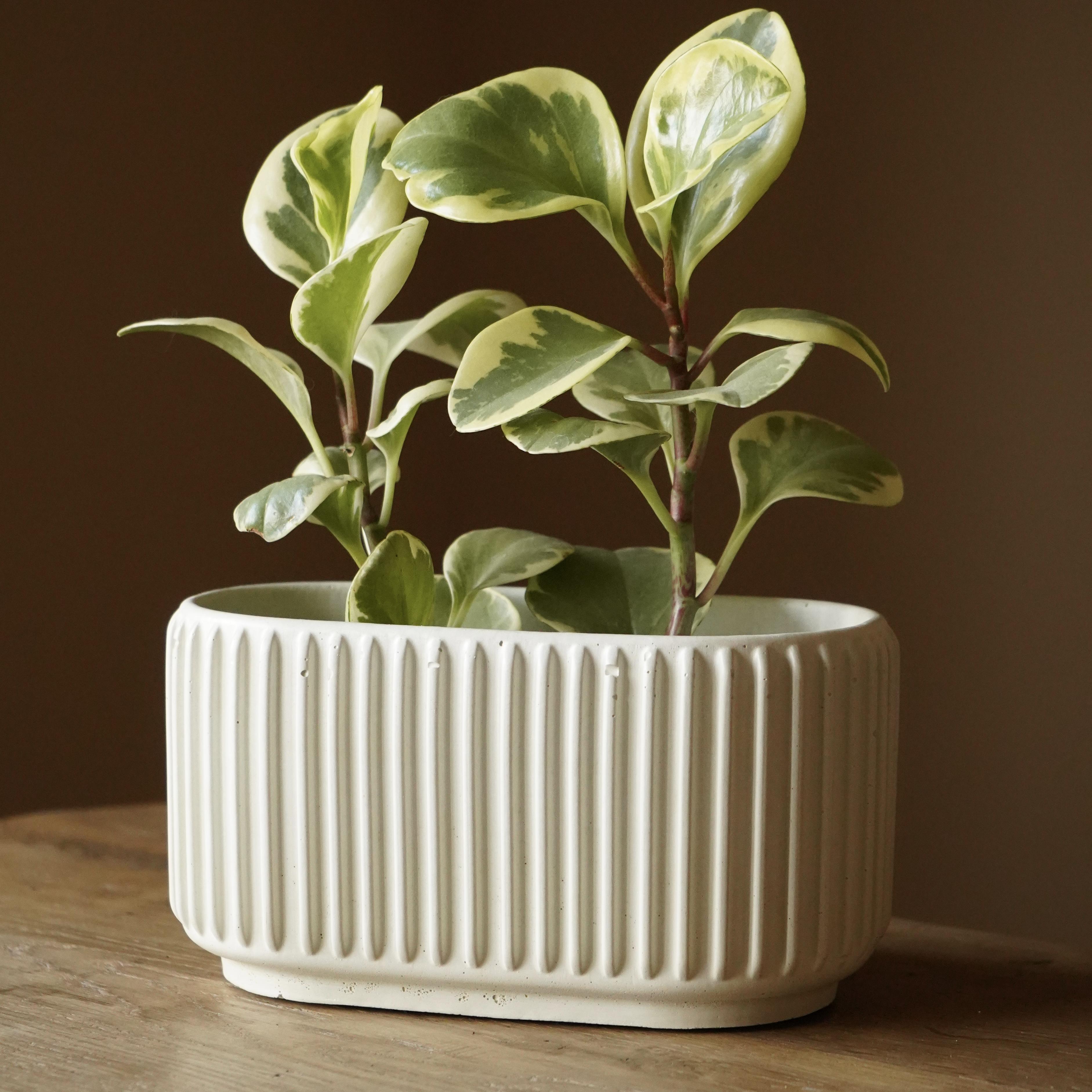 Горшок бетонный Jungli Греко 21x11 см Белый