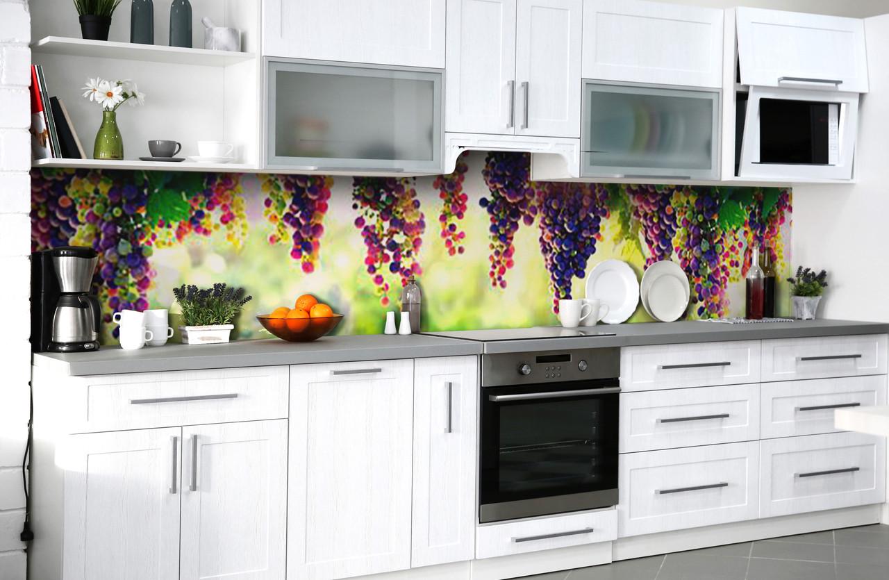 Кухонный фартук Грозди винограда синие ягоды из самоклеющейся виниловой пленки 65х250 см Зеленый