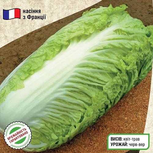 Семена Капуста Florium пекінська Кантонер (13162) - фото 2 Семена Капуста Florium пекінська Кантонер (13162) - фото 2