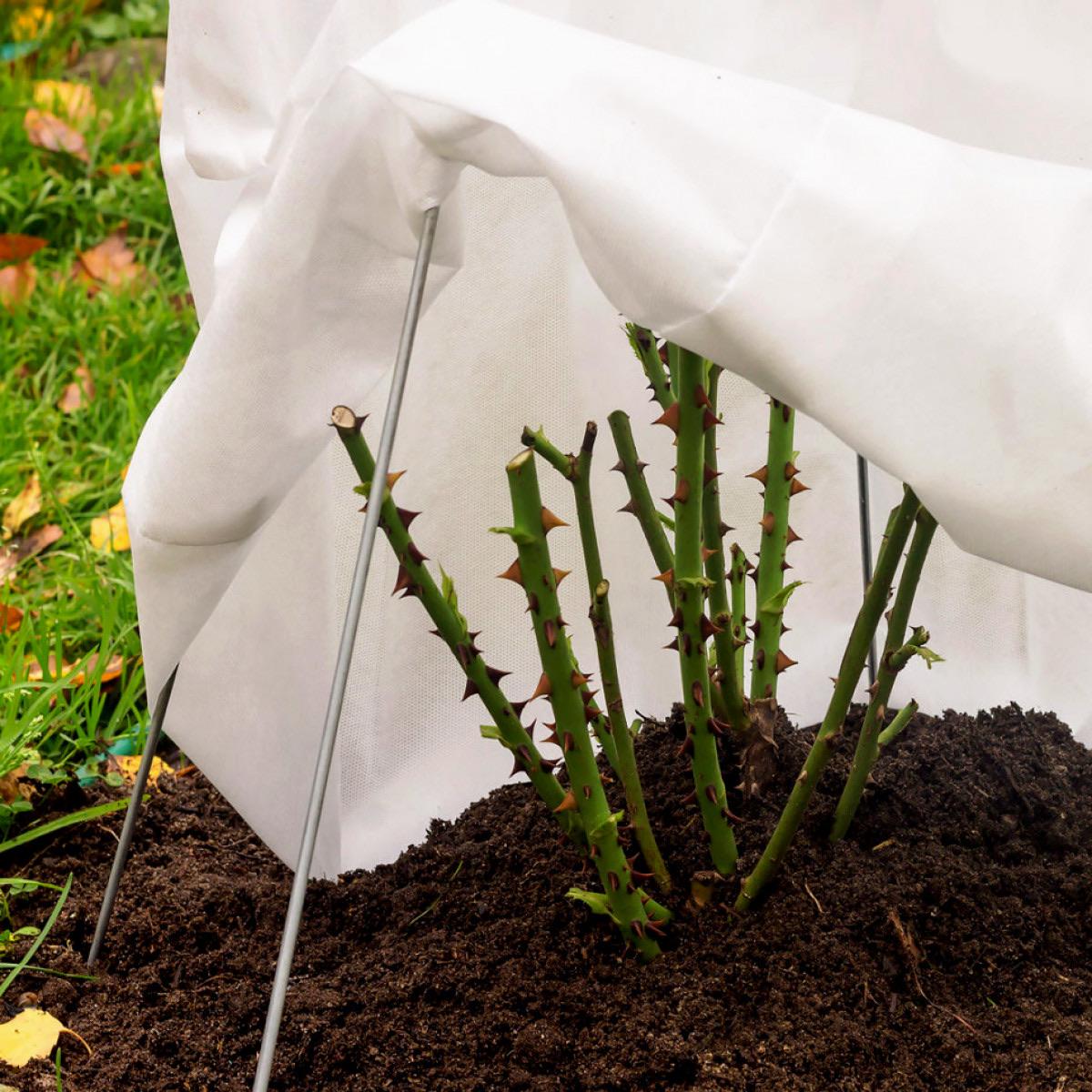 Агроволокно Greentex Р50 мульчировочное для защиты от сорняков 1,6x10 м Черный - фото 15 Агроволокно Greentex Р50 мульчировочное для защиты от сорняков 1,6x10 м Черный - фото 15