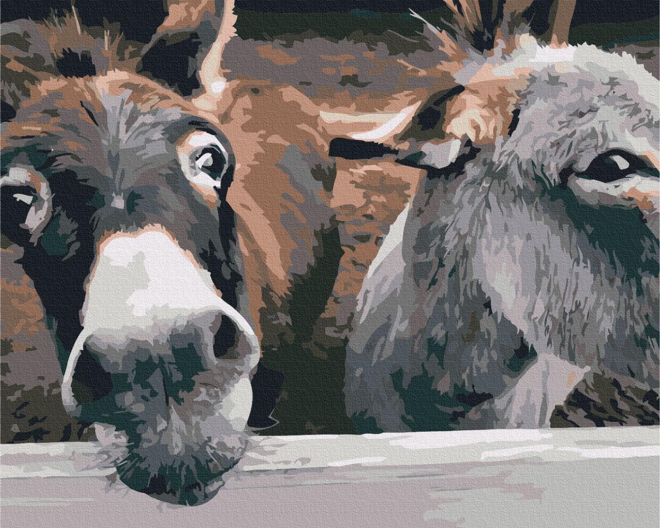 Картина по номерам Brushme Ослики на ранчо 48x60 см (BS52259L)