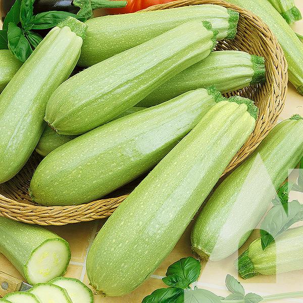 Кабачок Акробат, 10 г, Садиба Кабачок Акробат, 10 г, Садиба