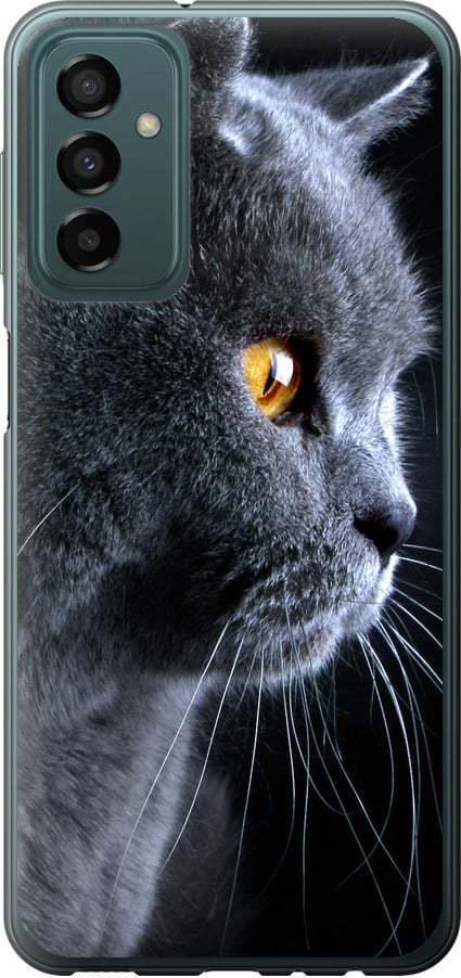 Чохол на Samsung Galaxy M23 M236B Гарний кіт (3038b-2632-42517) Чохол на Samsung Galaxy M23 M236B Гарний кіт (3038b-2632-42517)