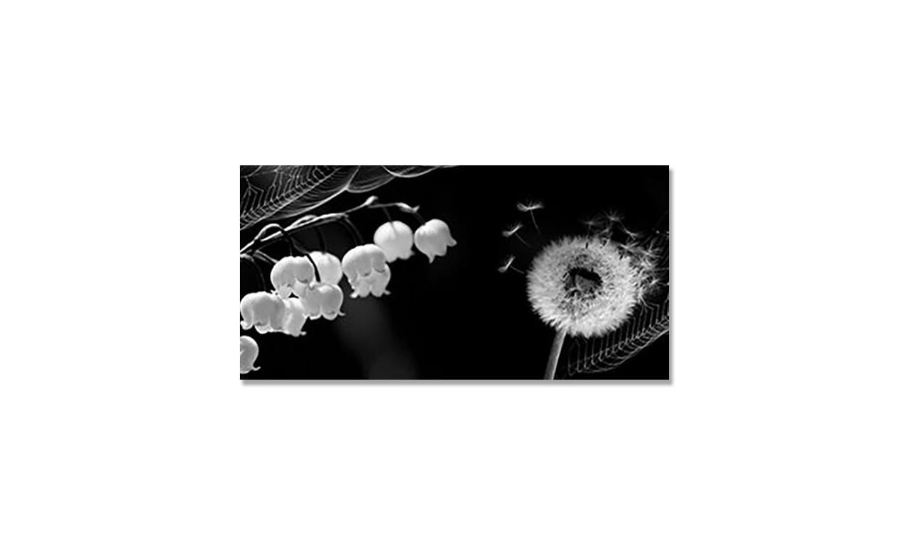 Наклейка вінілова на стіл Zatarga Кульбаба/Конвалія 600х1200 мм (1289776857)