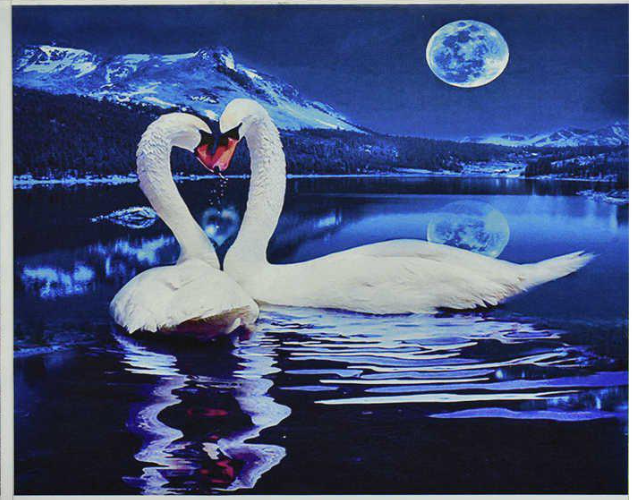 Алмазна мозаїка TK Group Лебеді 30 кольорів 40х30 см (GB 71033)