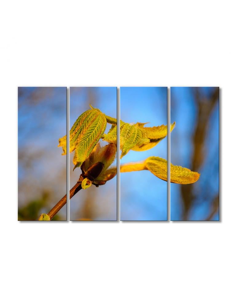 Картина модульная Распускающийся лист каштана 4 модуля 120x180 см (061710cvety_i_rasteniya)