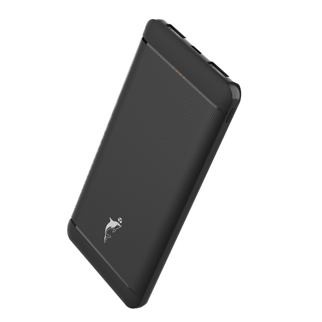 Портативний зарядний пристрій Power Bank SkyDolphin SP22 10000 mAh LED Light MicroUSB/Type-C Black (180711) - фото 1