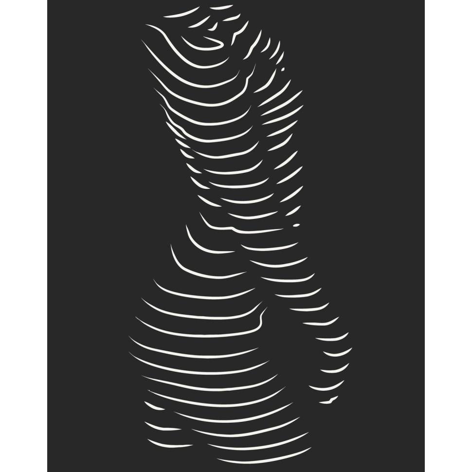 Картина по номерам ART CRAFT Соблазнительный силуэт 40x50 см Черно-Белый (PM-194-K-1535)