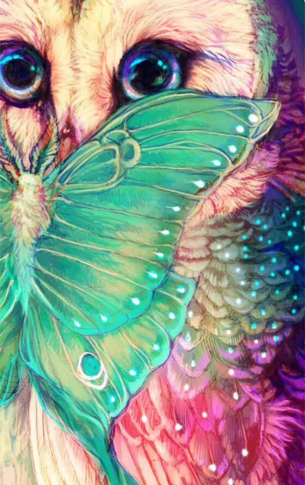 Алмазная мозаика Emerald Craft Сова из сна 30x40 см (17630)