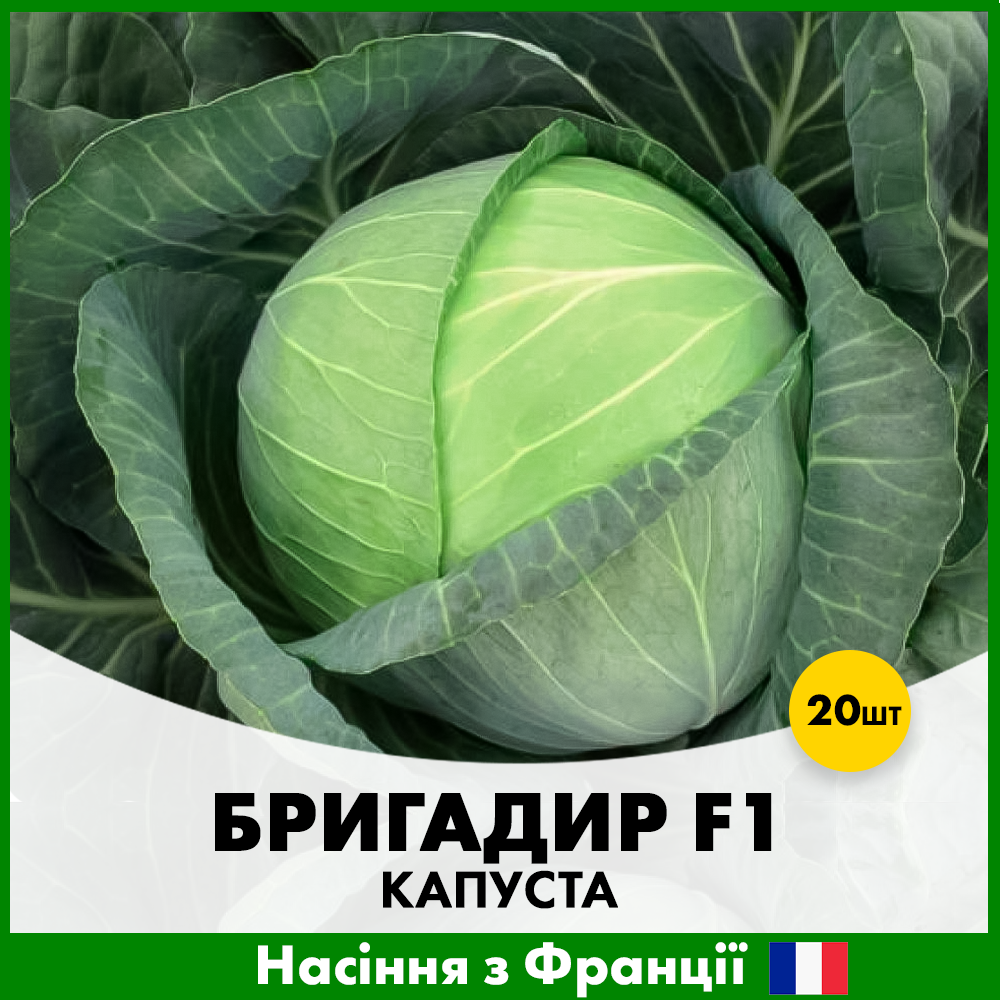 Семена капусты Clause Белоголова Бригадир F1 20 шт. (R50208)