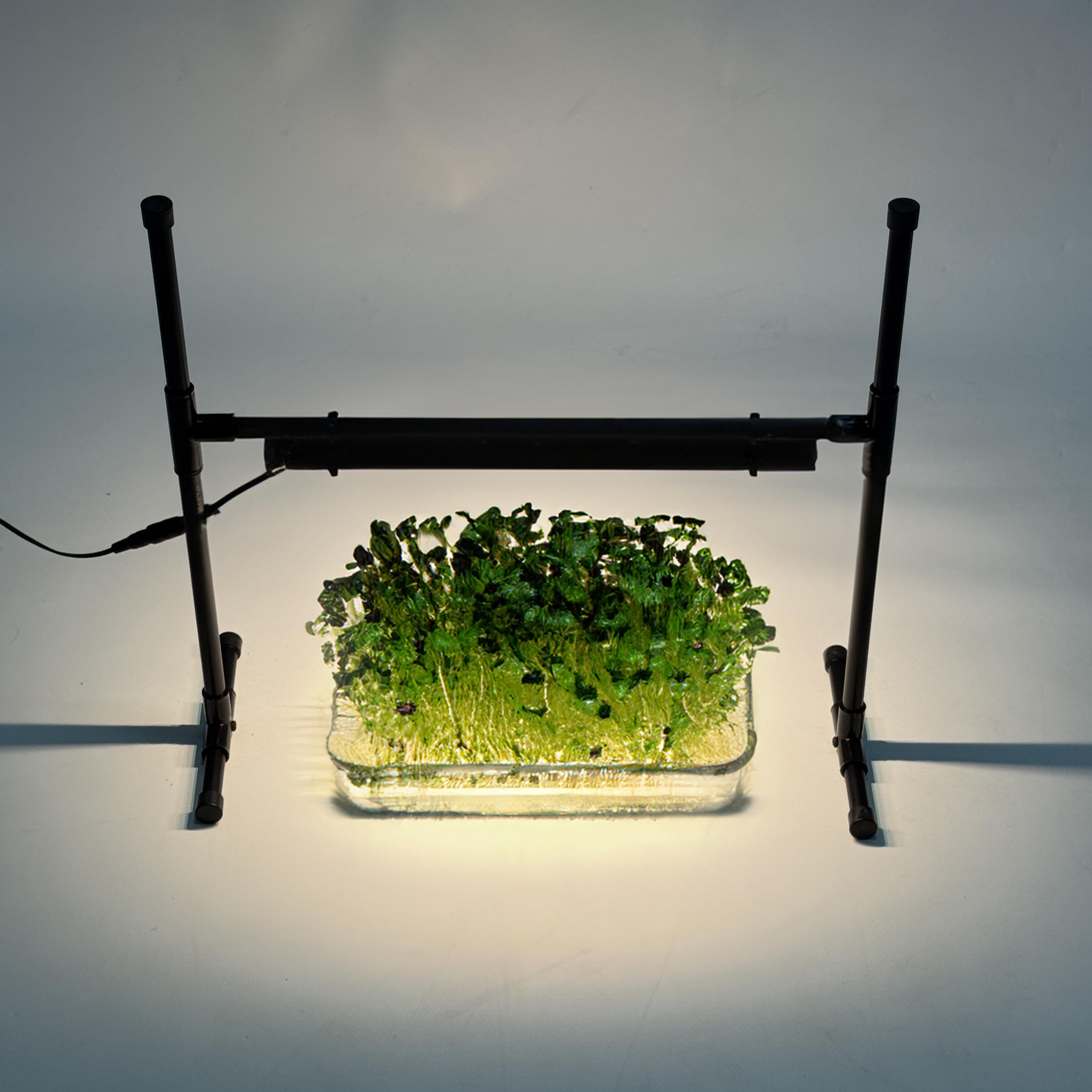 Фитолампа для рассады/микрозеленые Mario детская (27438207) - фото 2