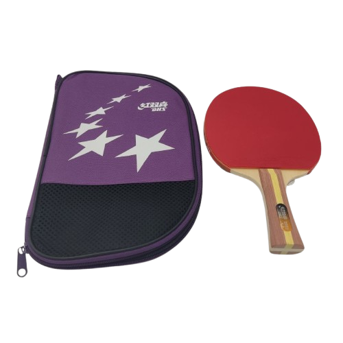 Ракетка для настольного тенниса DHS H2002 с чехлом (160453)
