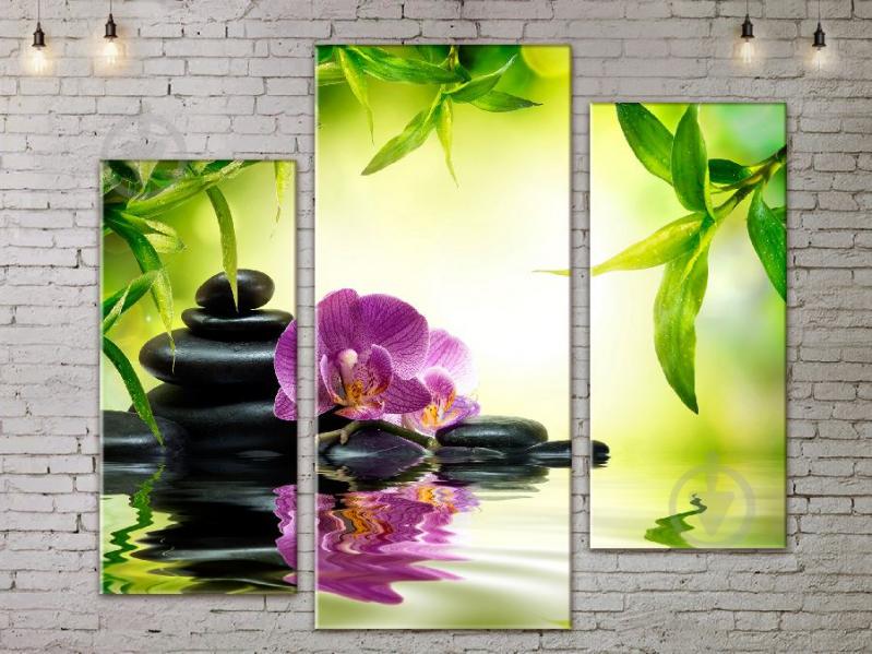 Модульная картина ArtStar цветы Орхидея на Камнях ADFL0214 размер 55 х 70 см