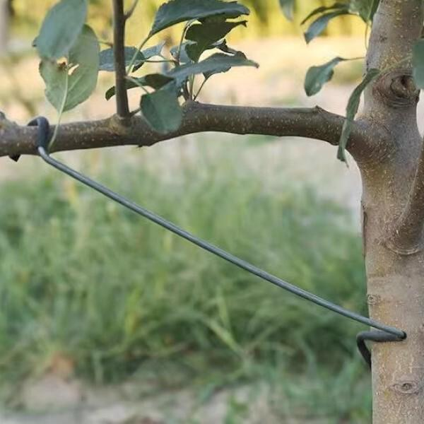 Фіксатори для гілок дерев M00655-2 з гумовим покриттям 26 см 10 шт. - фото 3
