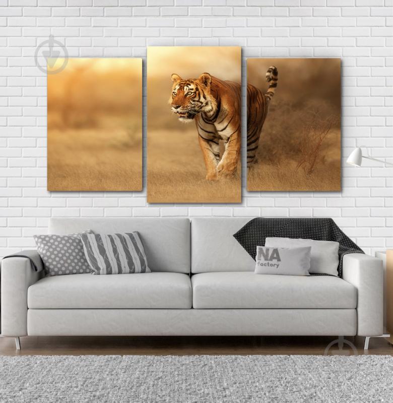 Модульна картина Poster-land Тигр Art-183_3