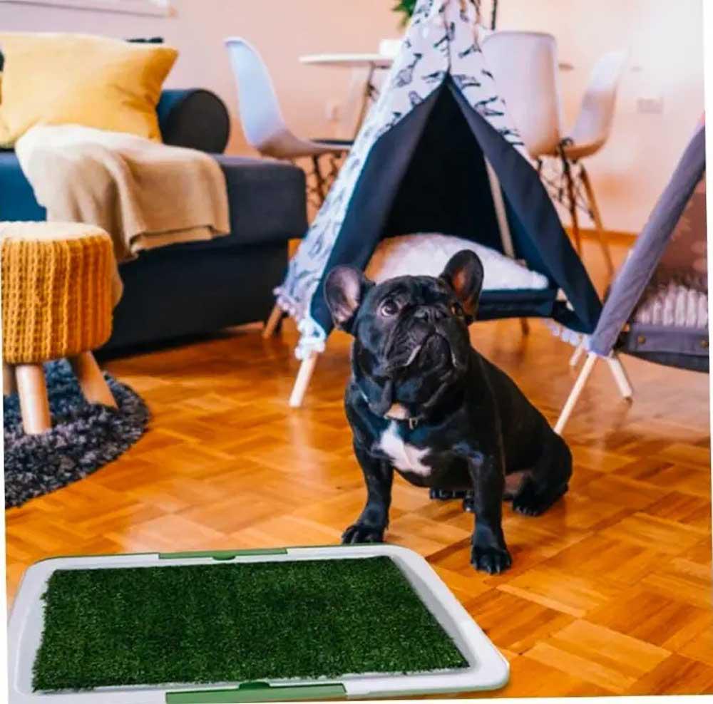 Лоток-туалет для собак з бортиками і штучною травою 47х34 см - фото 5