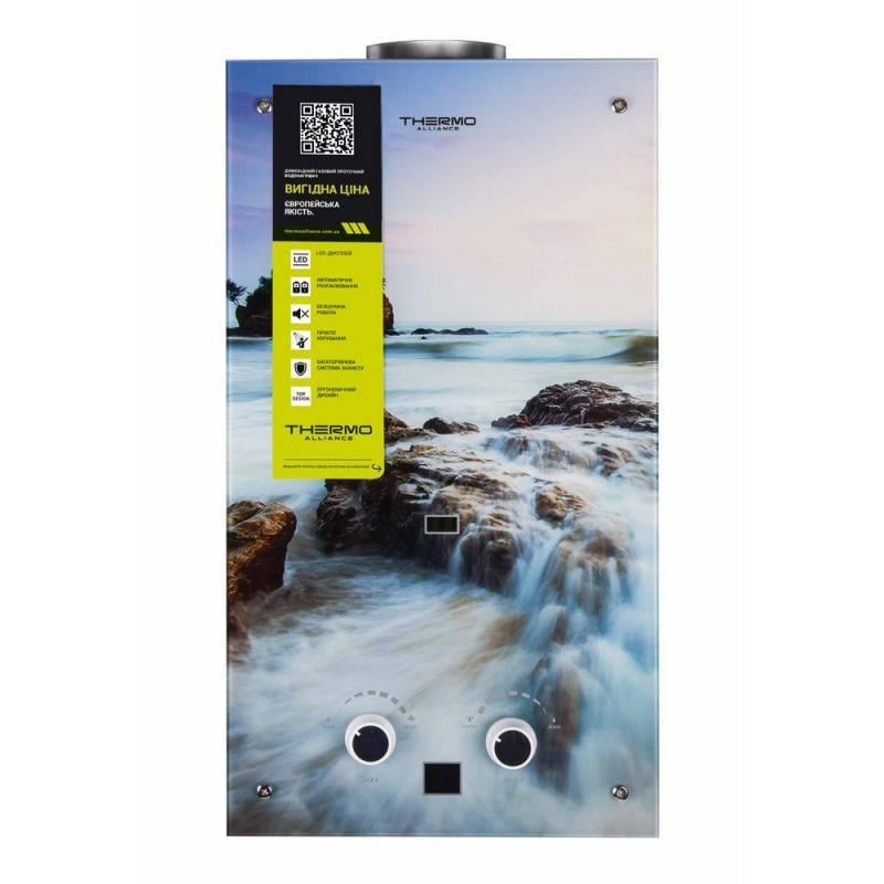 Газова колонка димохідна Thermo Alliance JSD20-10GA 10 л (FRRS00031248)