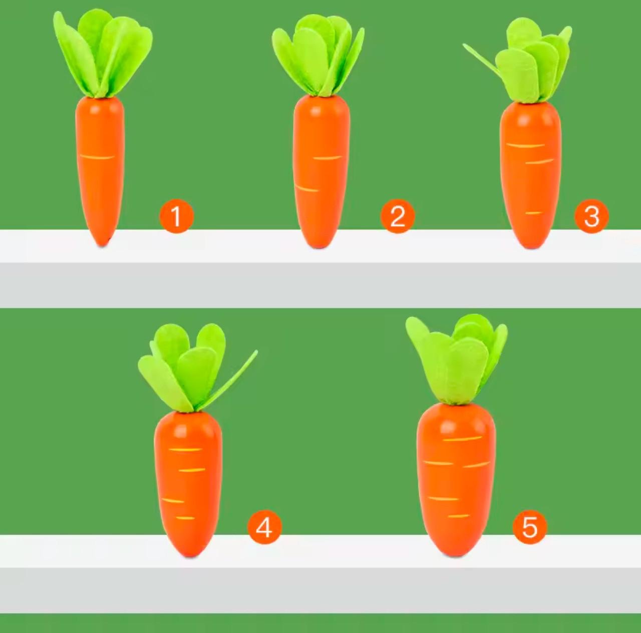 Игрушка для малышей Морковная сортировка с 5 морковками (56) - фото 6