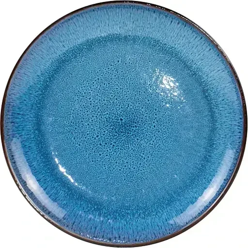 Тарелка обеденная Krauff Blue Ocean 21-318-009 керамическая 276 мм (2590295151)