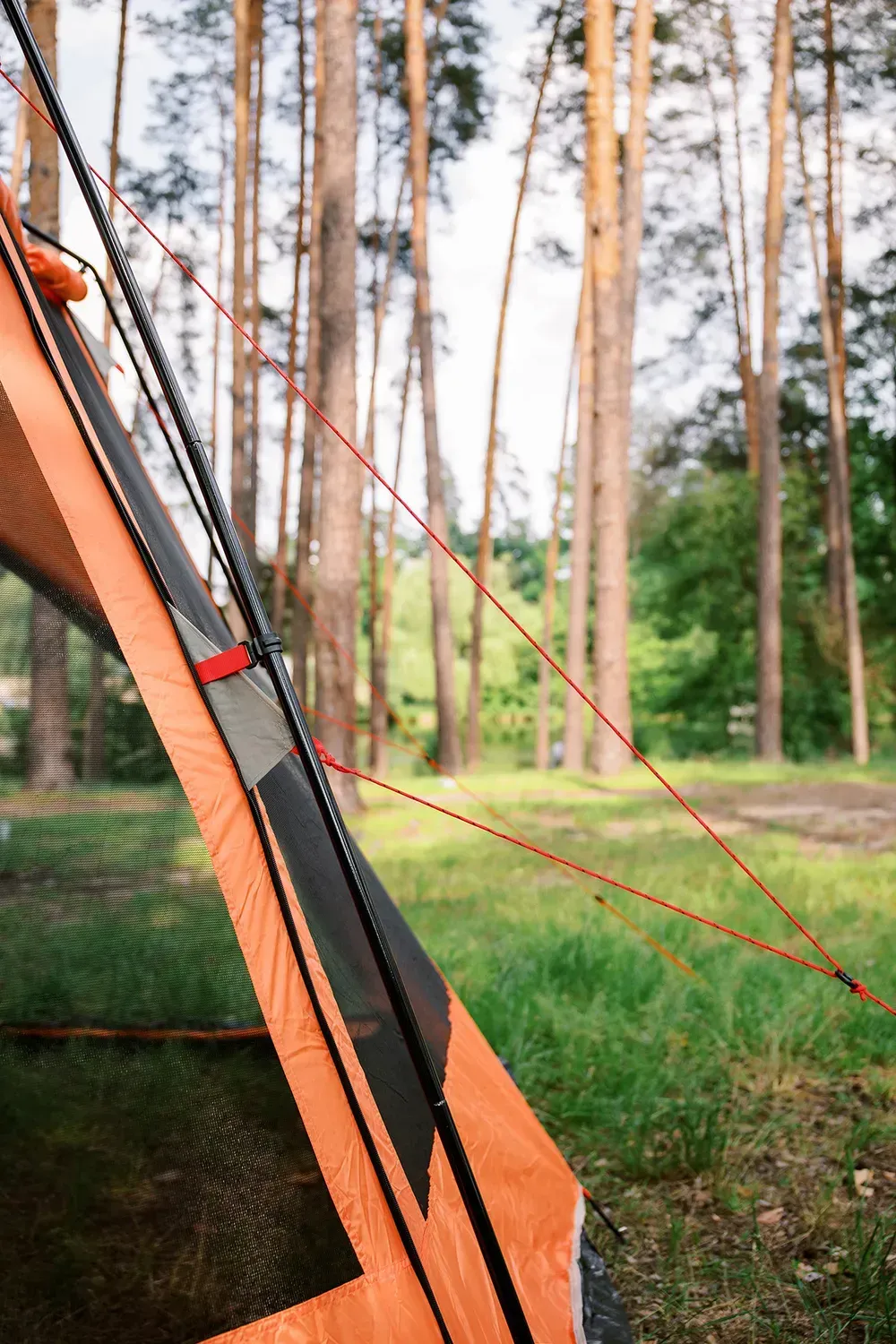 Шатер Tramp Lite Mosquito TLT-009.02 Orange - фото 15 Шатер Tramp Lite Mosquito TLT-009.02 Orange - фото 15