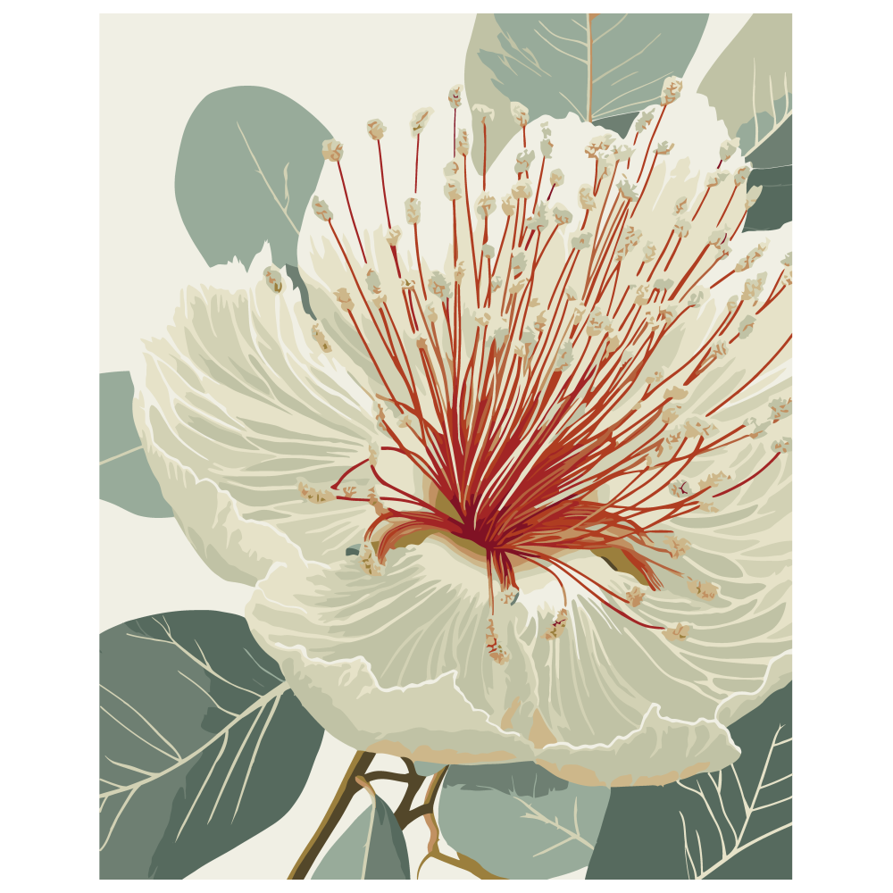 Картина по номерам ART CRAFT Цветущий эвкалипт 40x50 см Разноцветный (PM-194-K-1404)