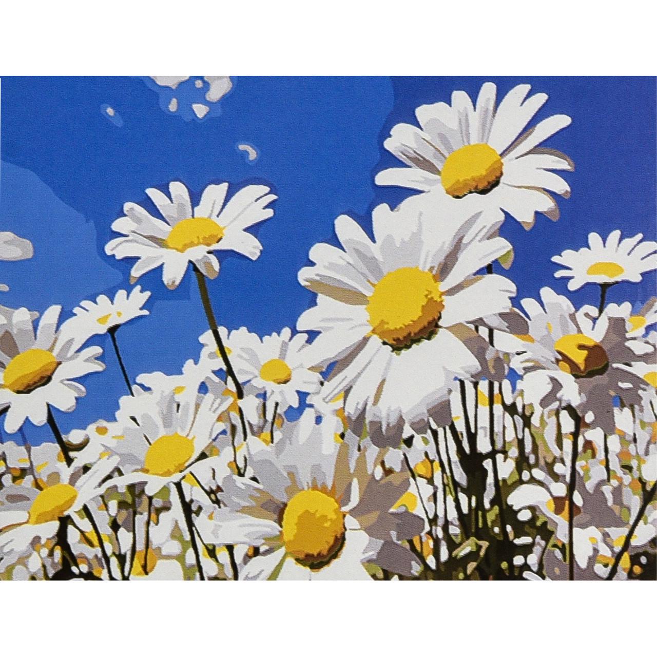 Картина по номерам Strateg Премиум Летние ромашки 30х40 см (SS1200)