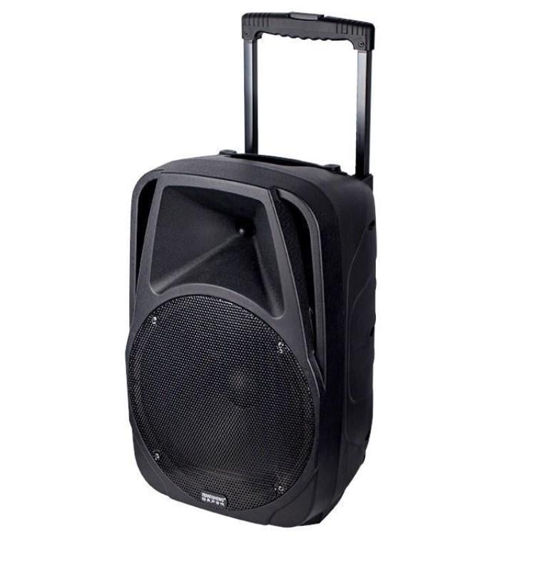 Портативна акустична система та 2 мікрофони Temeisheng A18X 12" (2580523779) Портативна акустична система та 2 мікрофони Temeisheng A18X 12" (2580523779)