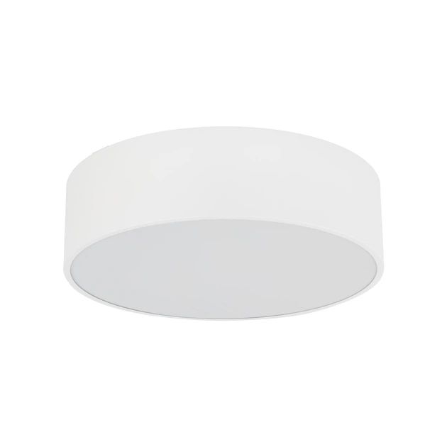Світильник стельовий TK Lighting 10985 Livo M E27 3x15W IP54 Білий (36321771)
