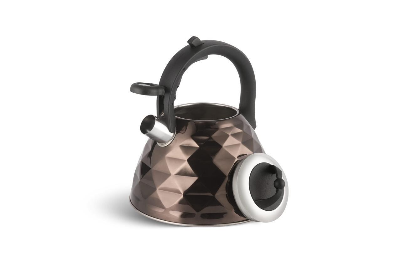 Чайник зі свистком Edenberg EB-8821 з нержавіючої сталі 3 л Чорний (57-46-EB-8821-3) - фото 2 Чайник зі свистком Edenberg EB-8821 з нержавіючої сталі 3 л Чорний (57-46-EB-8821-3) - фото 2