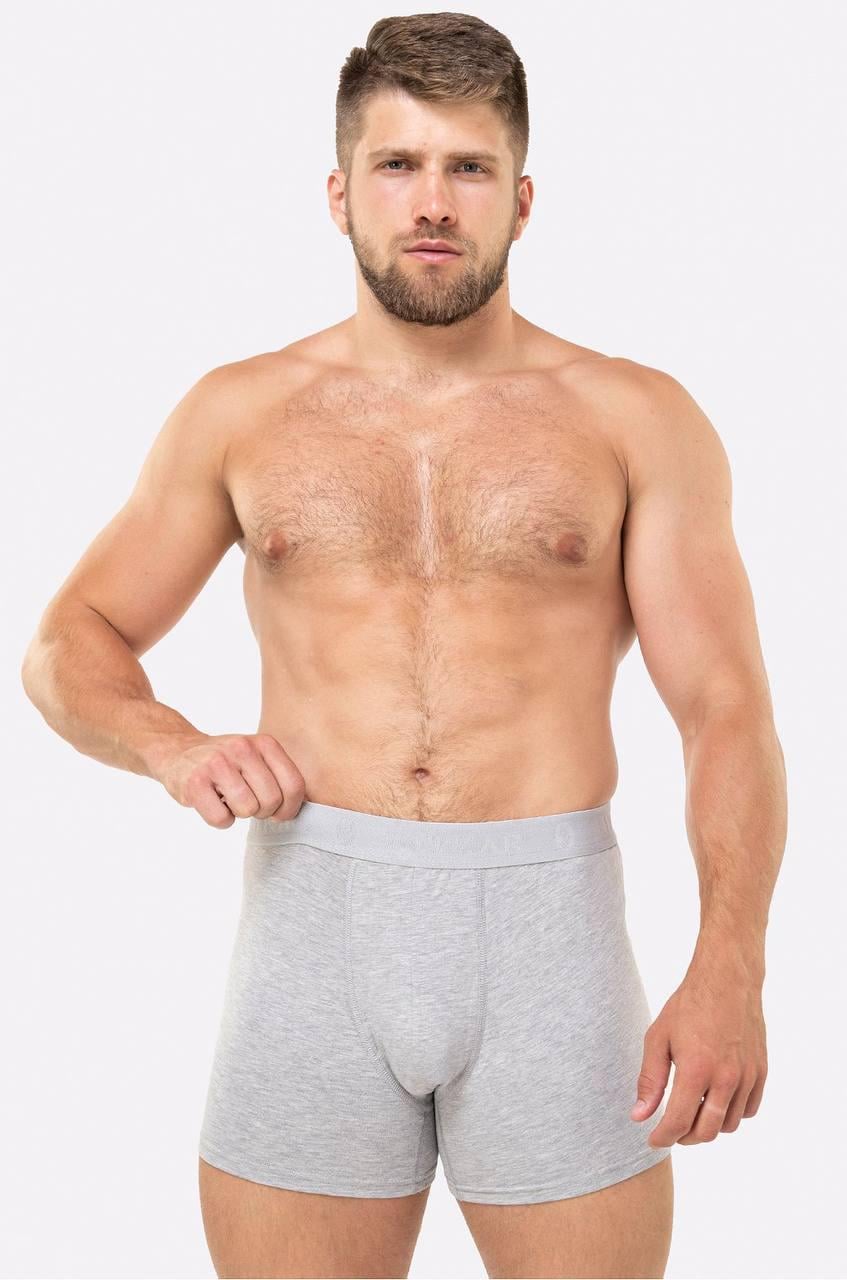 Трусы-боксеры мужские BAYKAR 2XL р. 52-54 Серый (1110-20)