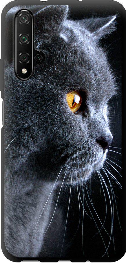 Чехол на Huawei Honor 20 Красивый кот (3038b-1697-42517)