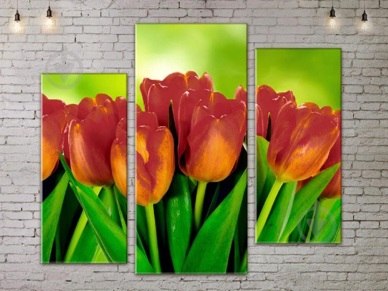 Модульная картина ArtStar цветы Тюльпаны ADFL0125 размер 120 х 180 см
