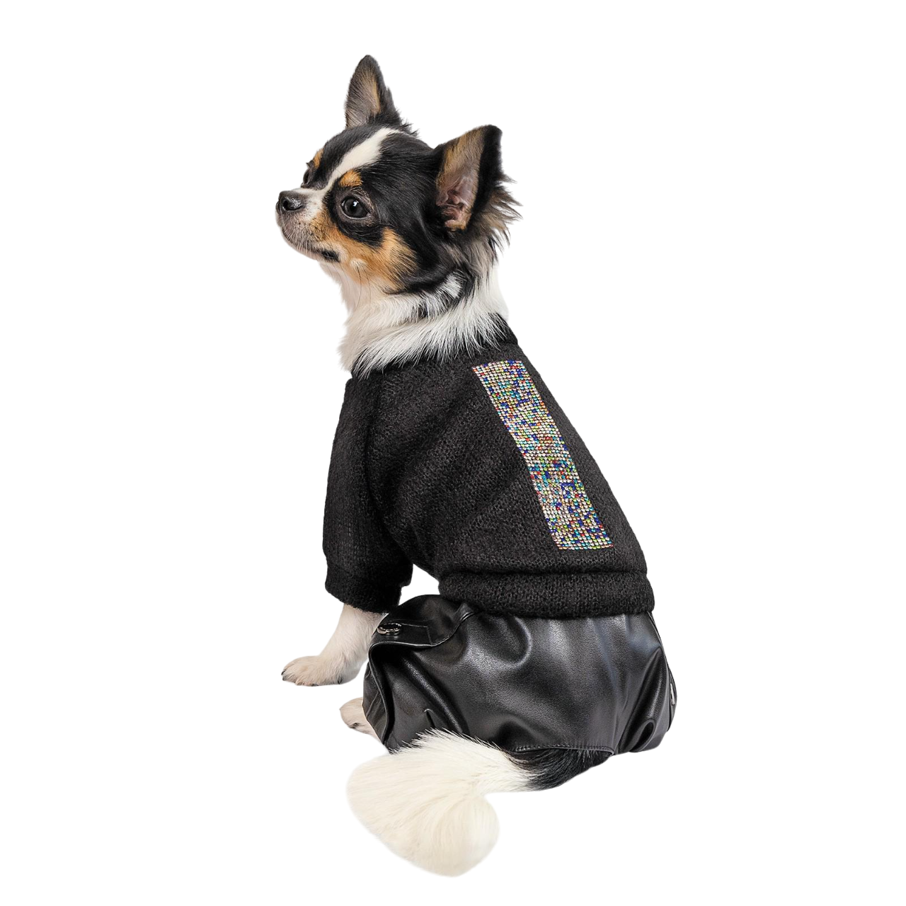 Костюм Pet Fashion Vogue XS Черный (PR242209)